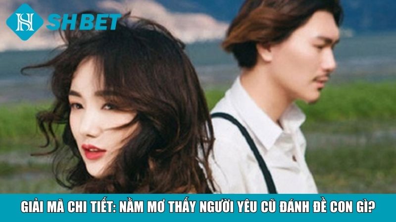 Nằm Mơ Thấy Người Yêu Cũ Đánh Đề Con Gì Chuẩn Nhất 3 Giải mã chi tiết: Nằm mơ thấy người yêu cũ đánh đề con gì?