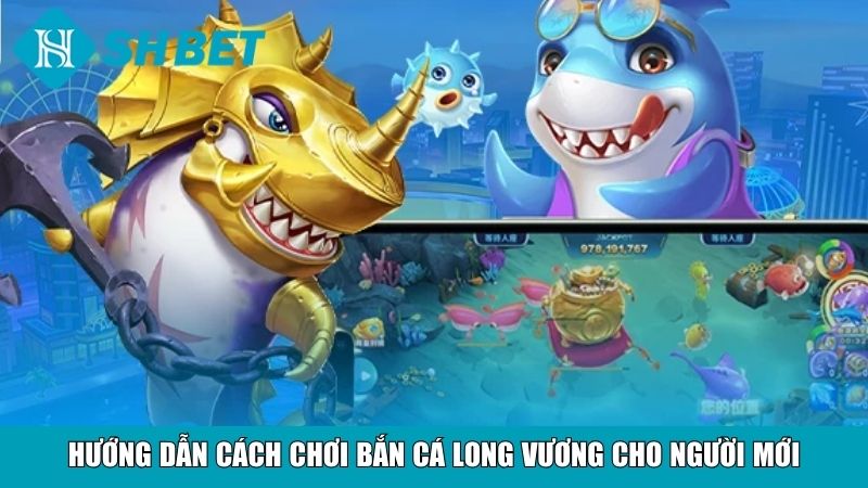 Bắn Cá Long Vương SHBET – Trải Nghiệm Bắn Cá Đỉnh Cao 3 Hướng dẫn cách chơi bắn cá Long vương cho người mới