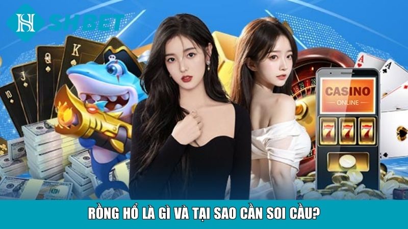 Cách Soi Cầu Rồng Hổ Chuẩn Xác Cho Người Mới Tại SHBET 8 Rồng hổ là gì và tại sao cần soi cầu?