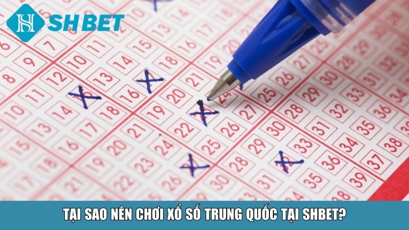 Cách Chơi Xổ Số Trung Quốc Tại Nhà Cái SHBET 4 Tại sao nên chơi xổ số Trung Quốc tại SHBET?